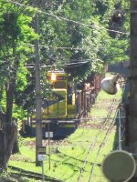 MRSL 5106